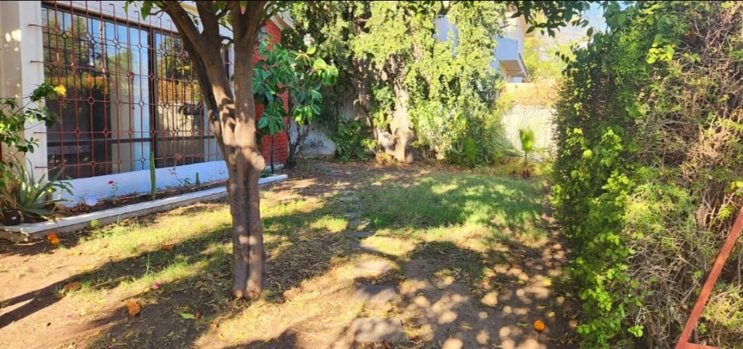 Foto11